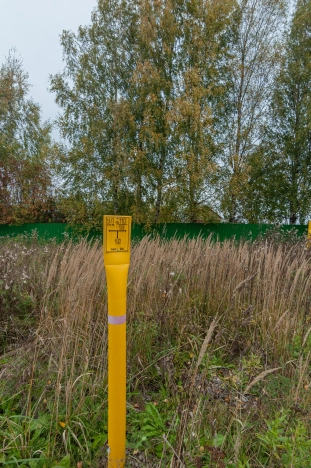 Купить дом в Вологде. Вариант № 6716149, 4, площадь -  квм, цена 10800000 рублей