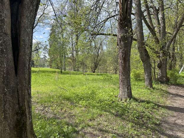 Купить земельный участок в Новгородской области. Вариант № 44811, 5, площадь -  квм, цена 6600000 рублей