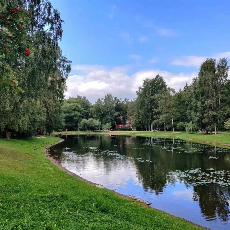 Купить однокомнатную квартиру у метро Площадь Мужества в Санкт-Петербурге. Вариант № 9278098, 25, площадь -  квм, цена 9300000 рублей