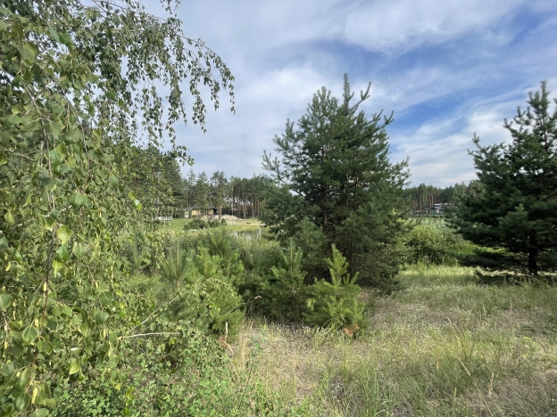 Купить дом в Воронеже. Вариант № 555024, 26, площадь -  квм, цена 16600000 рублей