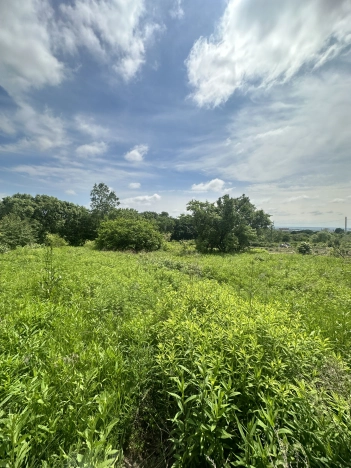 Купить земельный участок на улице Калугина в Уссурийске. Вариант № 8031, 6, площадь -  квм, цена 700000 рублей