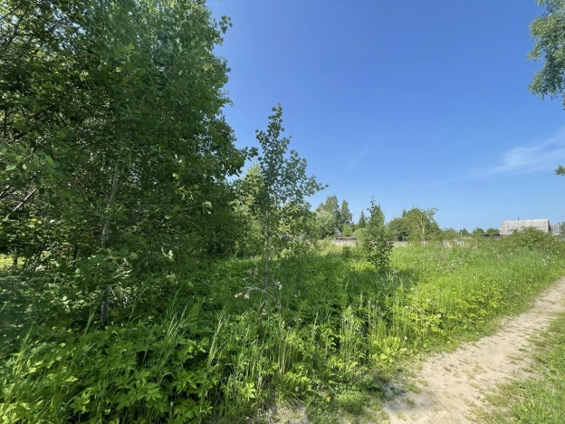 Купить земельный участок в Тобольске. Вариант № 7518819, 2, площадь -  квм, цена 250000 рублей