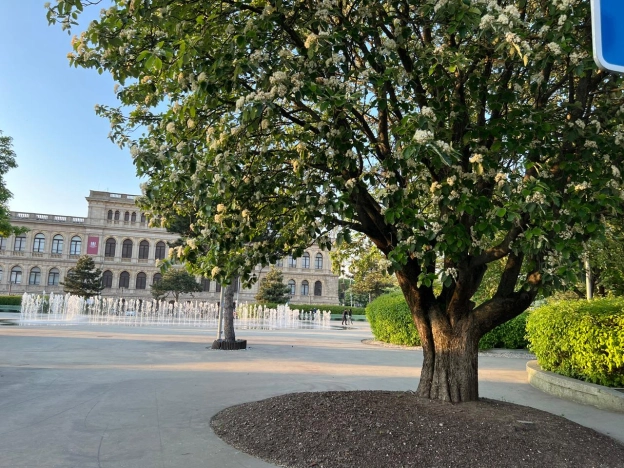 . Вариант № 44886, 21, площадь - 56.5 квм, цена 7300000 рублей