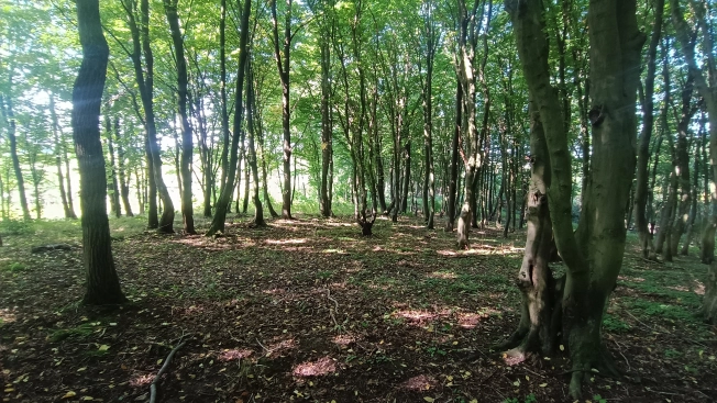 Купить земельный участок на улице Заозёрный проезд в Калининграде. Вариант № 6141881, 9, площадь -  квм, цена 1900000 рублей