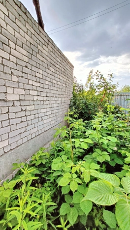 Купить земельный участок в Брянской области. Вариант № 51773, 6, площадь - квм, цена 450000 рублей