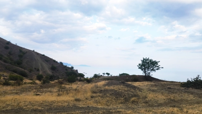 Купить земельный участок на улице Центральная в Республике Крым. Вариант № 2604311, 4, площадь -  квм, цена 130000000 рублей