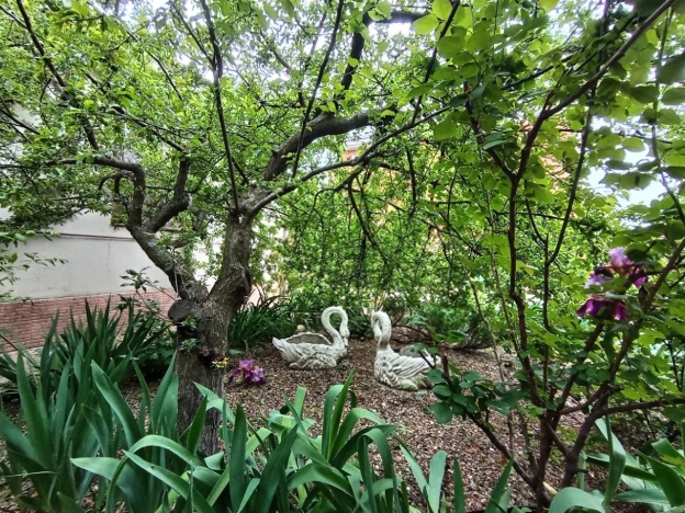 Купить дом на улице Долинская в Ростове-на-Дону. Вариант № 42243, 35, площадь -  квм, цена 13650000 рублей