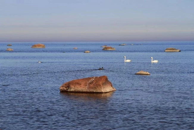 Купить земельный участок у метро Рыбацкое в Ленинградской области. Вариант № 6303, 3, площадь -  квм, цена 5999000 рублей