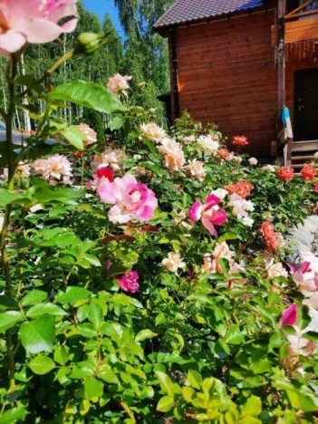 Купить дом в Москве. Вариант № 9873672, 15, площадь -  квм, цена 11750000 рублей