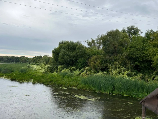Купить земельный участок в Пензе. Вариант № 11723, 0, площадь -  квм, цена 5490000 рублей