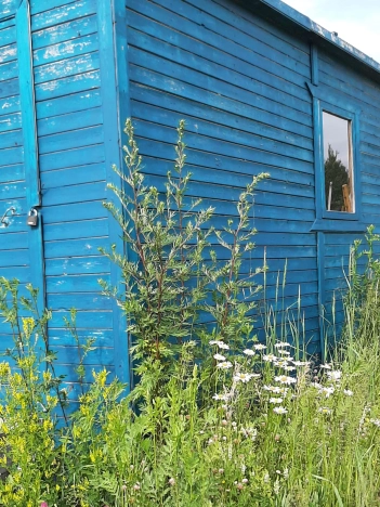 Купить земельный участок у метро Новомосковская в Москве. Вариант № 3767784, 6, площадь -  квм, цена 4200000 рублей