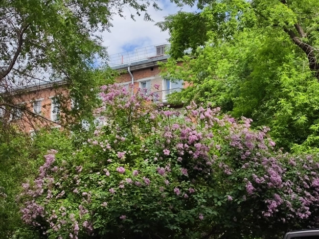 Купить комнату на улице Каменская в Новосибирске. Вариант № 46475, 7, площадь -  квм, цена 1590000 рублей