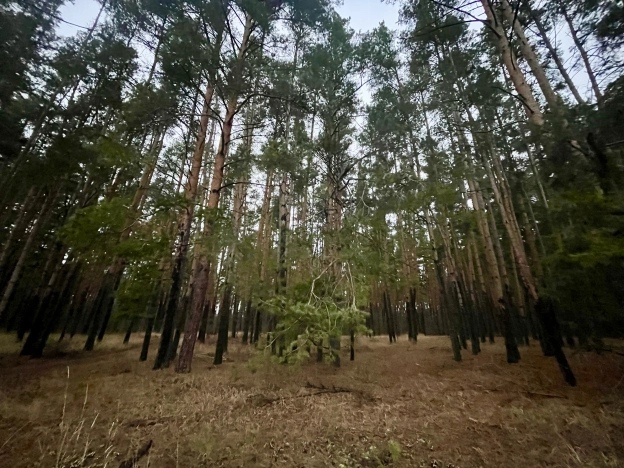 Купить земельный участок в Пензе. Вариант № 9318386, 2, площадь -  квм, цена 8500000 рублей