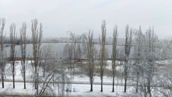 Купить квартиру в районе Автозаводский в Нижнем Новгороде. Вариант № 9835592, 7, площадь -  квм, цена 7000000 рублей