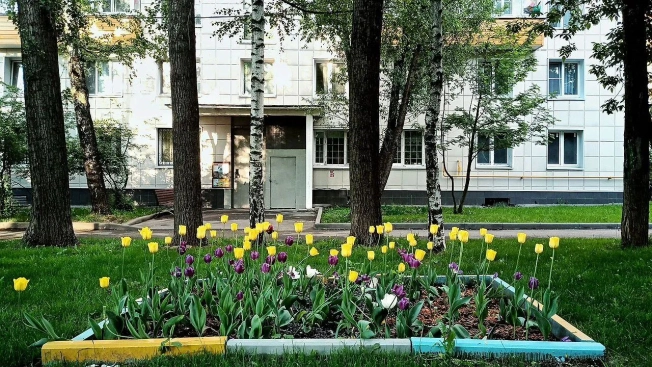 Купить квартиру в Москве. Вариант № 9658627, 31, площадь - квм, цена 15500000 рублей