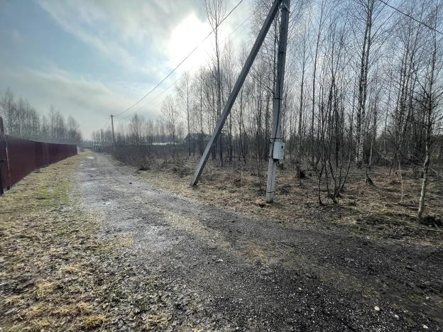 Купить земельный участок в Новгородской области. Вариант № 30069, 4, площадь -  квм, цена 250000 рублей