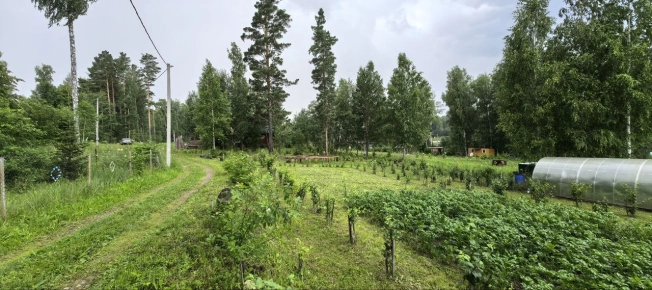 Купить земельный участок в Искитиме. Вариант № 19506, 36, площадь -  квм, цена 3430000 рублей