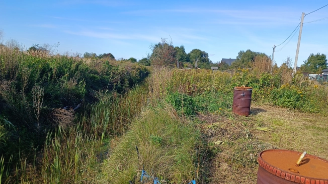 Купить земельный участок в Калининграде. Вариант № 6967472, 4, площадь -  квм, цена 650000 рублей