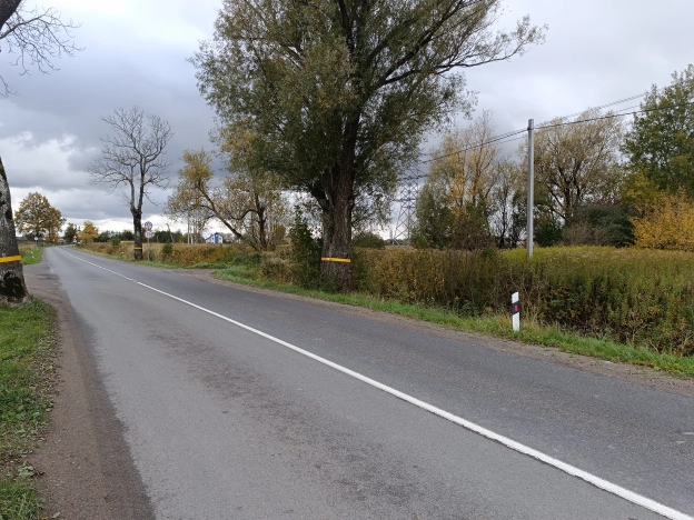 Купить земельный участок в Калининграде. Вариант № 10184878, 10, площадь -  квм, цена 65000000 рублей