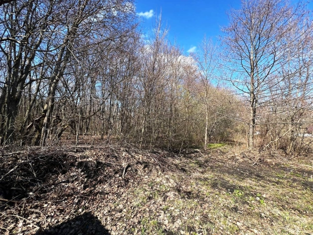 Купить земельный участок на улице 2-й проезд Добролюбова в Пензе. Вариант № 36109, 4, площадь -  квм, цена 4050000 рублей