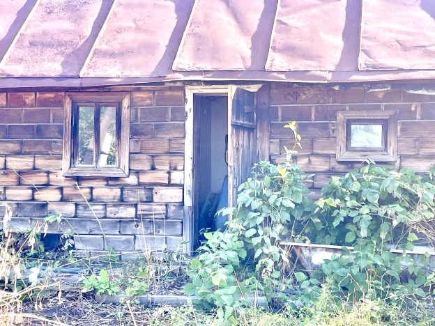 Купить дом на улице Колхозная в Алтайском крае. Вариант № 12172, 19, площадь -  квм, цена 590000 рублей