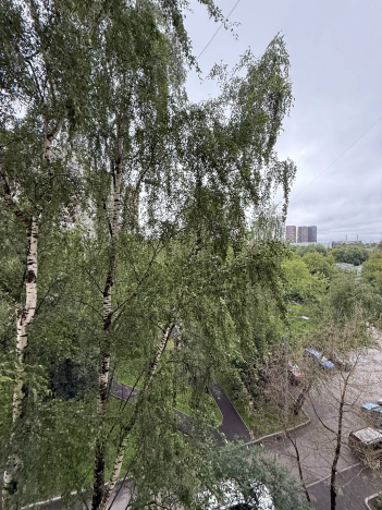 Купить квартиру в Москве. Вариант № 53028, 13, площадь - квм, цена 16300000.0000 рублей