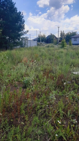 Купить земельный участок в Воронеже. Вариант № 273992, 14, площадь -  квм, цена 4200000 рублей