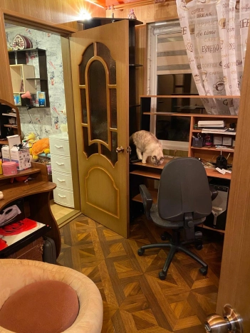 Купить дом на улице Почтовая в Приморском крае. Вариант № 21502, 10, площадь - квм, цена 9500000 рублей