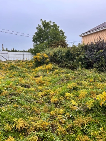 Купить земельный участок у метро Двигатель Революции в Нижнем Новгороде. Вариант № 3300941, 1, площадь - квм, цена 2900000 рублей