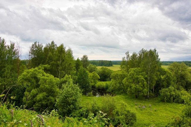 Купить дом на улице Луневский Вал в Владимире. Вариант № 15750, 45, площадь -  квм, цена 5100000 рублей