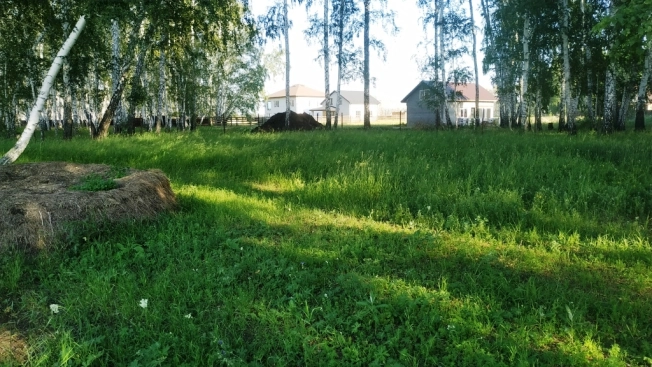 Купить земельный участок в Микрорайоне Московка-2 в Омске. Вариант № 2877, 0, площадь -  квм, цена 1200000 рублей