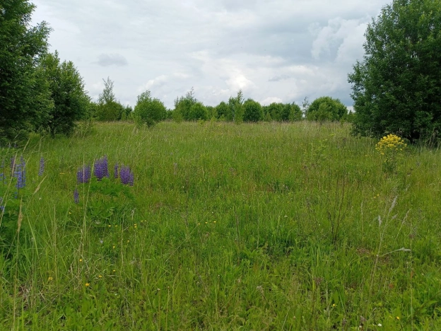 Купить земельный участок в Нижегородской области. Вариант № 33864, 4, площадь -  квм, цена 3300000 рублей
