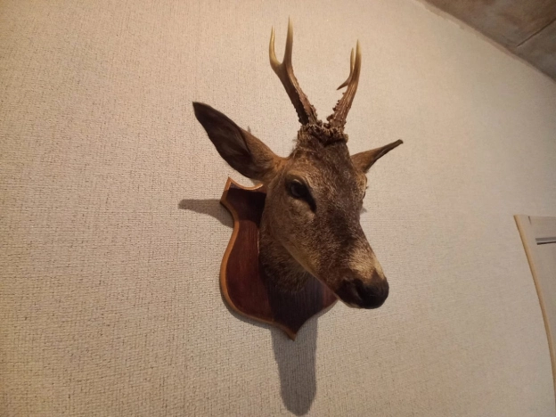 Купить дом в Зеленоградске. Вариант № 2826, 6, площадь -  квм, цена 16500000 рублей