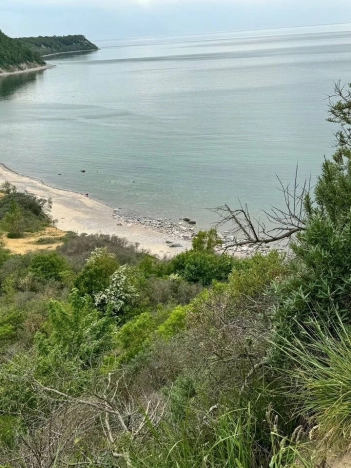 Купить земельный участок в Калининграде. Вариант № 7712797, 3, площадь -  квм, цена 2000000 рублей