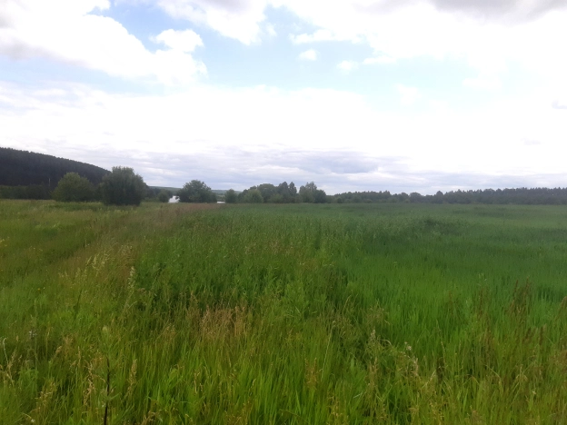 Купить земельный участок в Пензенской области. Вариант № 55110, 10, площадь -  квм, цена 2250000 рублей