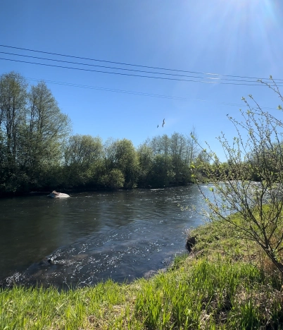 Купить земельный участок в Санкт-Петербурге. Вариант № 8885, 7, площадь -  квм, цена 1600000 рублей
