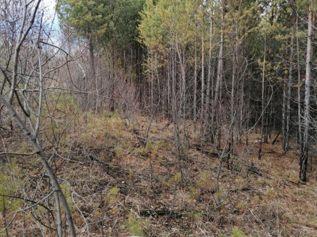 Купить земельный участок в Иркутске. Вариант № 38157, 4, площадь -  квм, цена 2190000 рублей