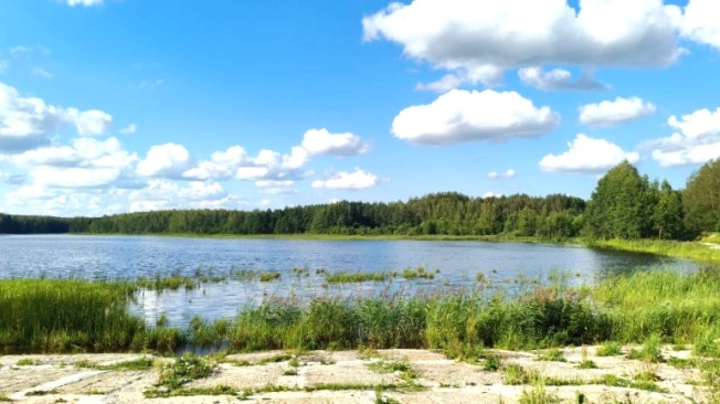 Купить дом в Петушках. Вариант № 1750869, 47, площадь -  квм, цена 18000000 рублей