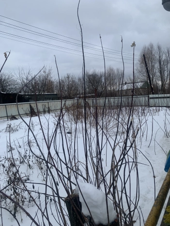 Купить коммерческую недвижимость свободного назначения в Вязниках. Вариант № 4203, 9, площадь -  квм, цена 3500000 рублей