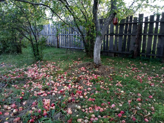 Купить дом в Владимире. Вариант № 10645, 24, площадь - квм, цена 1019200 рублей