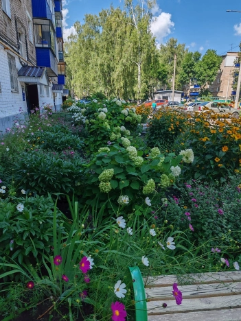 Купить двухкомнатную квартиру в Республике Башкортостан. Вариант № 8454250, 8, площадь -  квм, цена 2750000 рублей