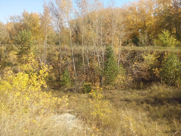 Купить земельный участок в Омской области. Вариант № 2737, 2, площадь -  квм, цена 1390000 рублей