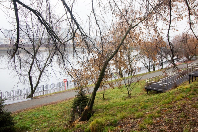 Купить квартиру на вторичке на улице Академика Иванова в Московской области. Вариант № 10600690, 23, площадь -  квм, цена 16450000 рублей