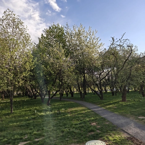 Купить квартиру в Москве. Вариант № 2364754, 14, площадь -  квм, цена 21500000.0000 рублей