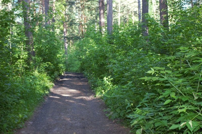 Купить четырехкомнатную квартиру в Новосибирской области. Вариант № 3087385, 22, площадь -  квм, цена 16990000 рублей