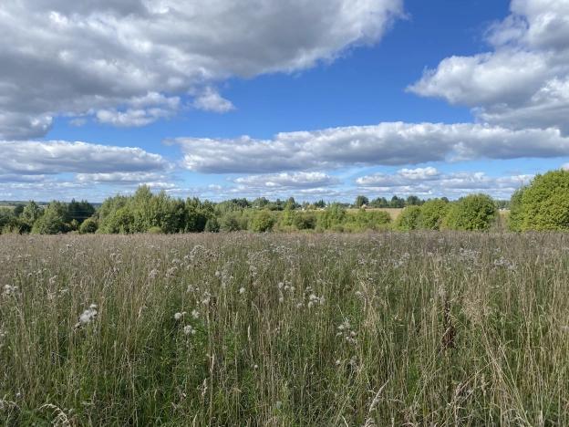 Купить земельный участок на улице Полевая в Вологодской области. Вариант № 2101, 4, площадь -  квм, цена 375000 рублей