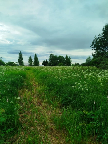 Купить земельный участок в Вологодской области. Вариант № 53369, 12, площадь -  квм, цена 2100000 рублей