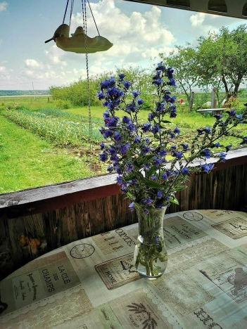 Купить дом в Москве. Вариант № 8474436, 13, площадь -  квм, цена 4300000 рублей