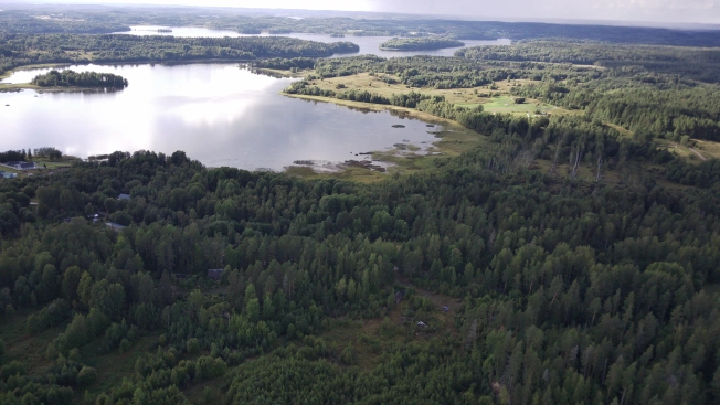 Купить земельный участок в Республике Карелия. Вариант № 5242343, 0, площадь -  квм, цена 800000 рублей