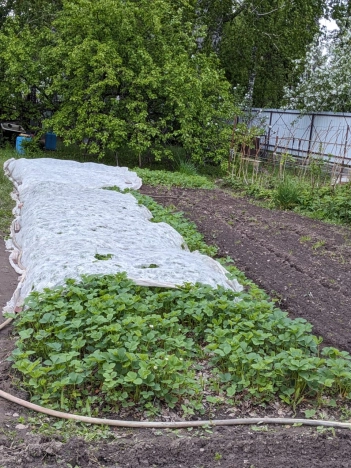 Купить дачу на улице Циолковского в Новосибирске. Вариант № 2000, 16, площадь -  квм, цена 2550000 рублей